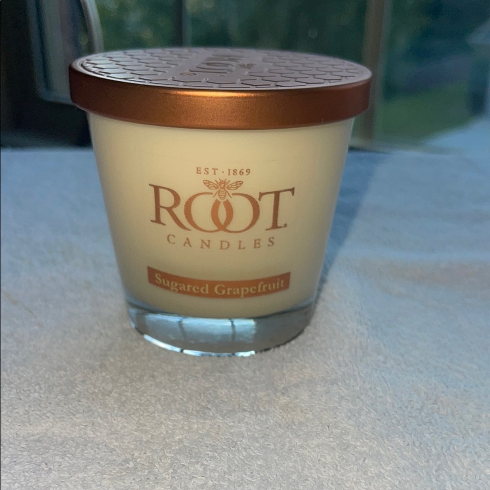 Sugared Grapefruit Candle - Cream